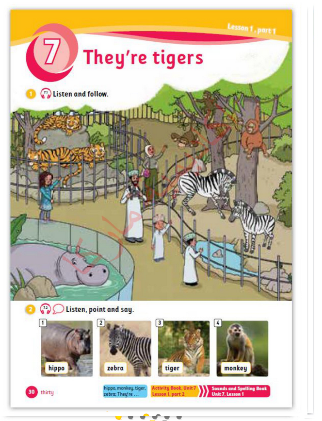 حل أسئلة Class Book – Unit 7 : They’re tigers