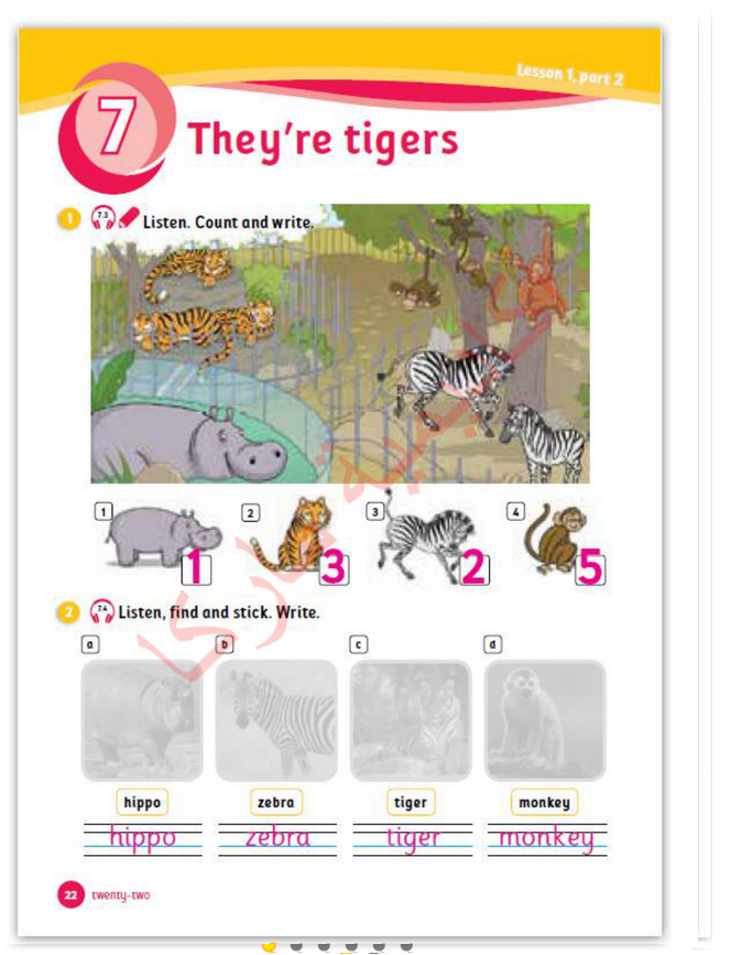 حل أسئلة Activity Book – Unit 7 : They’re tigers