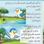 حل أسئلة الدرس (1) العصفور الصغير والسلحفاة – أحب لغتي صف أول فصل ثاني – 2026