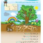 حل درس النباتات والحيوانات هي كائنات حية – علوم صف أول فصل أول – 2026