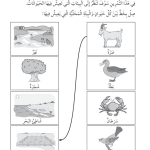 حل تمرين 1-2 البيئات المحلية – علوم صف أول فصل أول – 2026