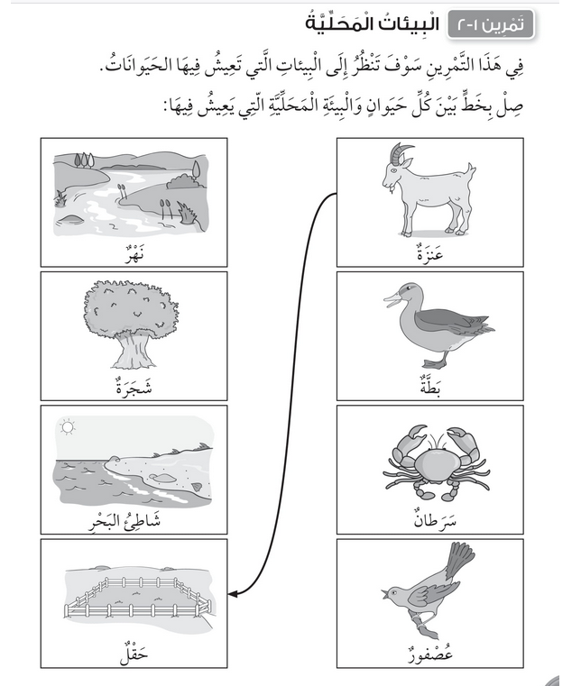 حل تمرين 1-2 البيئات المحلية – علوم صف أول فصل أول – 2026