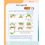 حل أسئلة الدرس (1) عمار يجوب البحار – أحب لغتي صف ثاني فصل ثاني – 2026