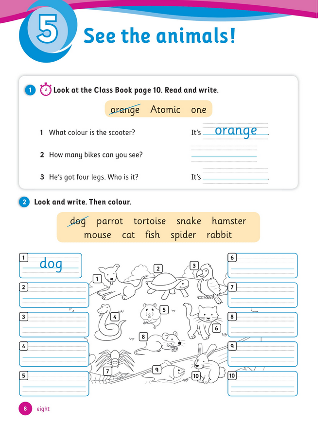 حل أسئلة Activity Book – Unit 5 : See the animals