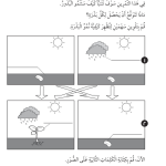 حل تمرين 2-2 زراعة البذور – علوم صف أول فصل أول – 2026