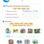 حل أسئلة Activity Book – Unit 7 : It’s windy