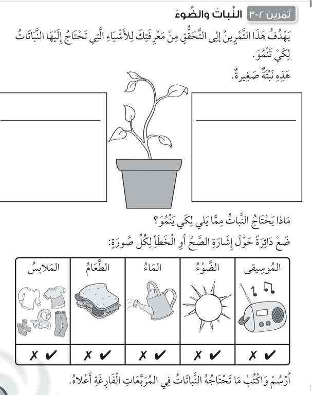 حل تمرين 2-3 النبات والضوء – علوم صف أول فصل أول – 2026