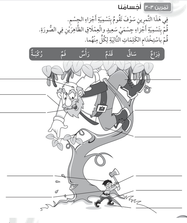 حل تمرين 3-3 أجسامنا – علوم صف أول فصل أول – 2026