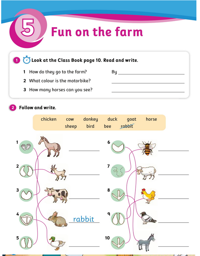 حل أسئلة Activity Book – Unit 5 : Fun on the farm