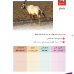 حل نص الاستماع بن سولع – لغتي الجميلة صف سادس فصل ثاني – 2026