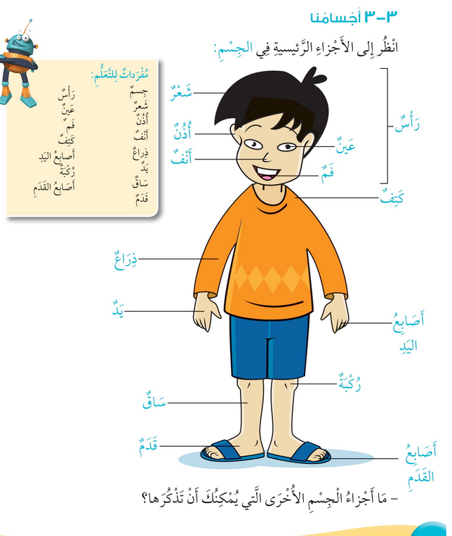حل درس أجسامنا – علوم صف أول فصل أول – 2026