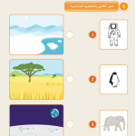 حل الدرس (5) لنتدرب على التعامل مع الخلفية – عالمي الرقمي صف أول فصل ثاني – 2026