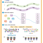 حل أسئلة Activity Book – Language booster 1