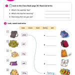حل أسئلة Activity Book – Unit 6 : Out in the forest