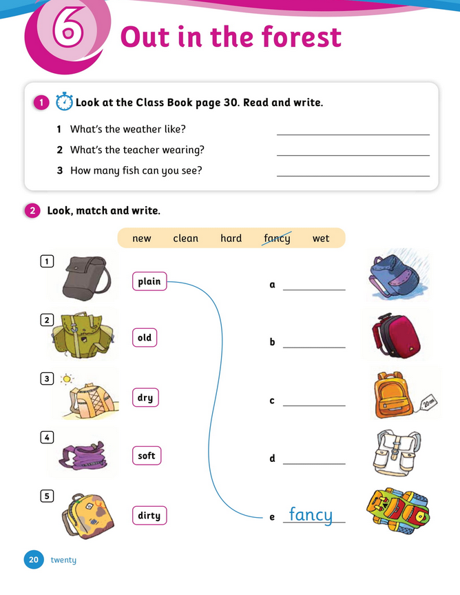 حل أسئلة Activity Book – Unit 6 : Out in the forest