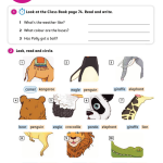 حل أسئلة Activity Book – Unit 8 : Animals are fun