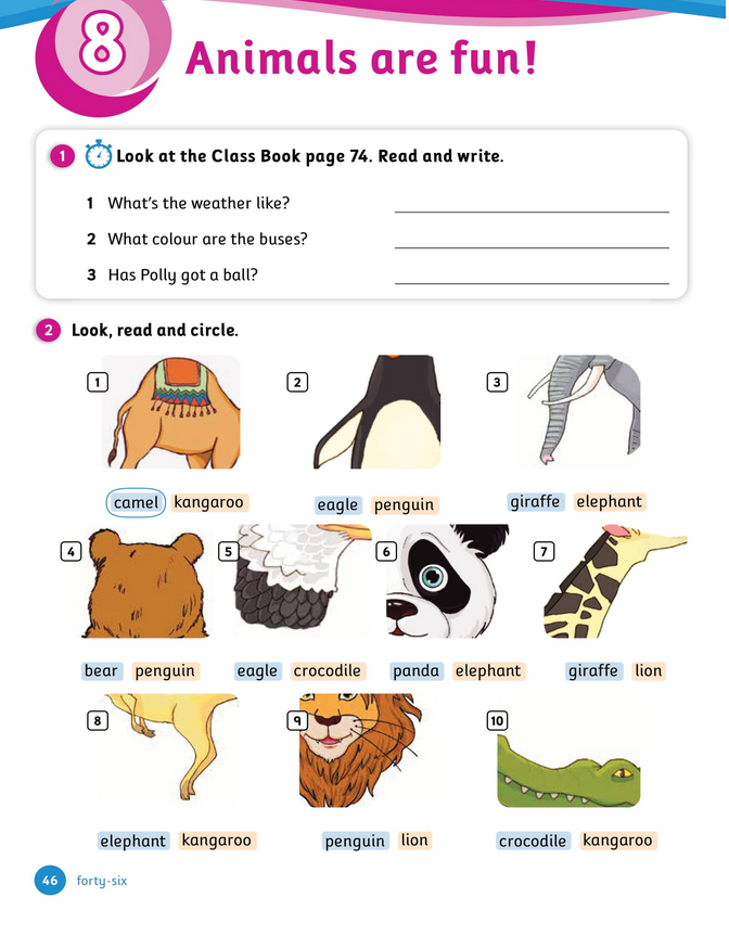 حل أسئلة Activity Book – Unit 8 : Animals are fun