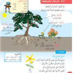 حل درس النباتات وأجزاؤها – علوم صف ثالث فصل أول (كتاب الطالب)