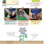 حل درس نقل الماء – علوم صف ثالث فصل أول (كتاب الطالب)