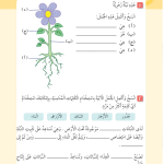 حل أسئلة تحقق من تقدمك الوحدة الأولى الاعتناء بالنباتات – علوم صف ثالث فصل أول 