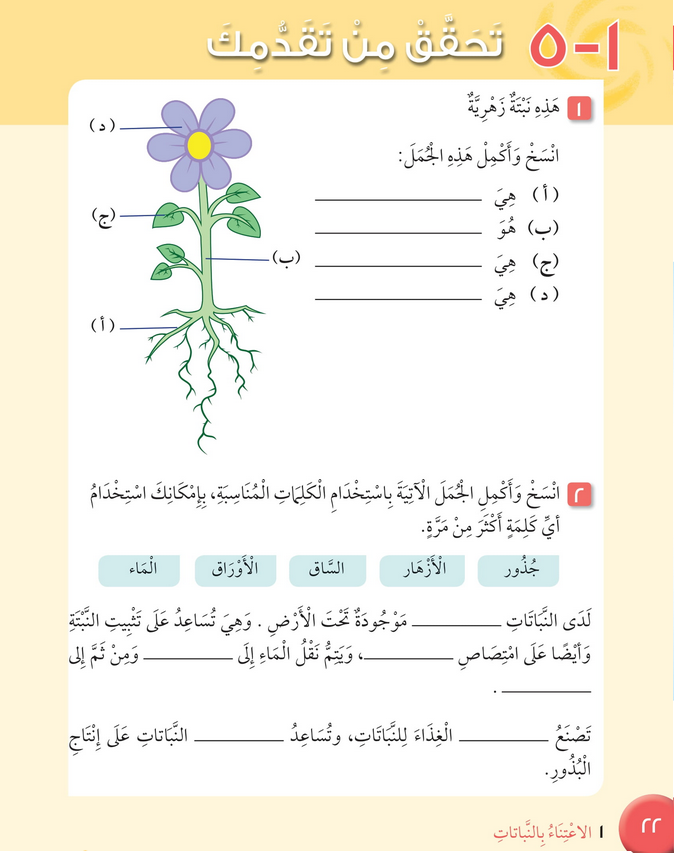 حل أسئلة تحقق من تقدمك الوحدة الأولى الاعتناء بالنباتات – علوم صف ثالث فصل أول 