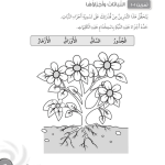 حل تمرين 1-1 النباتات وأجزاؤها – علوم صف ثالث فصل أول (كتاب النشاط)