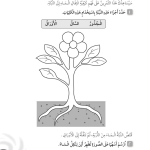 حل تمرين 1-3 نقل الماء – علوم صف ثالث فصل أول (كتاب النشاط)