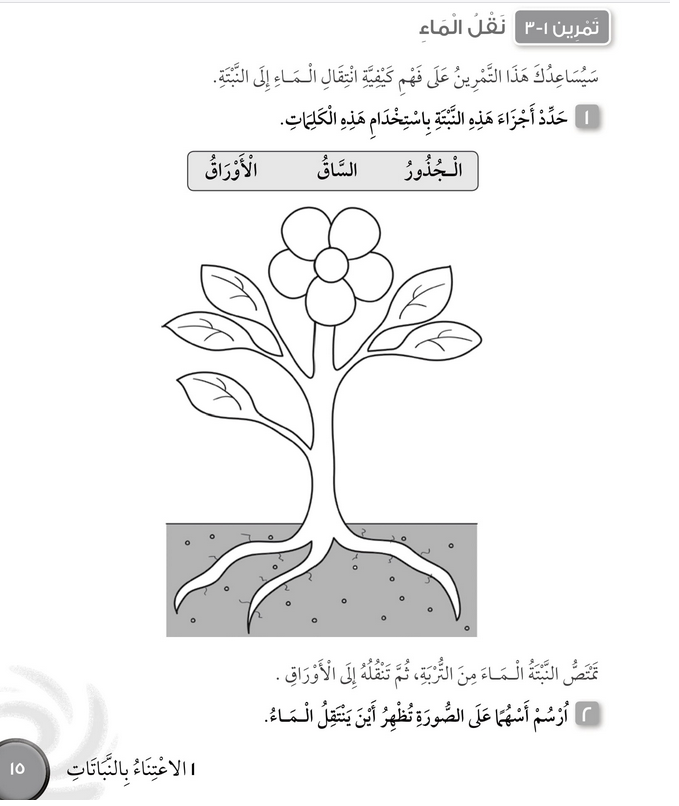 حل تمرين 1-3 نقل الماء – علوم صف ثالث فصل أول (كتاب النشاط)
