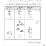 حل تمرين 1-4 نمو النباتات ودرجة الحرارة – علوم صف ثالث فصل أول (كتاب النشاط)