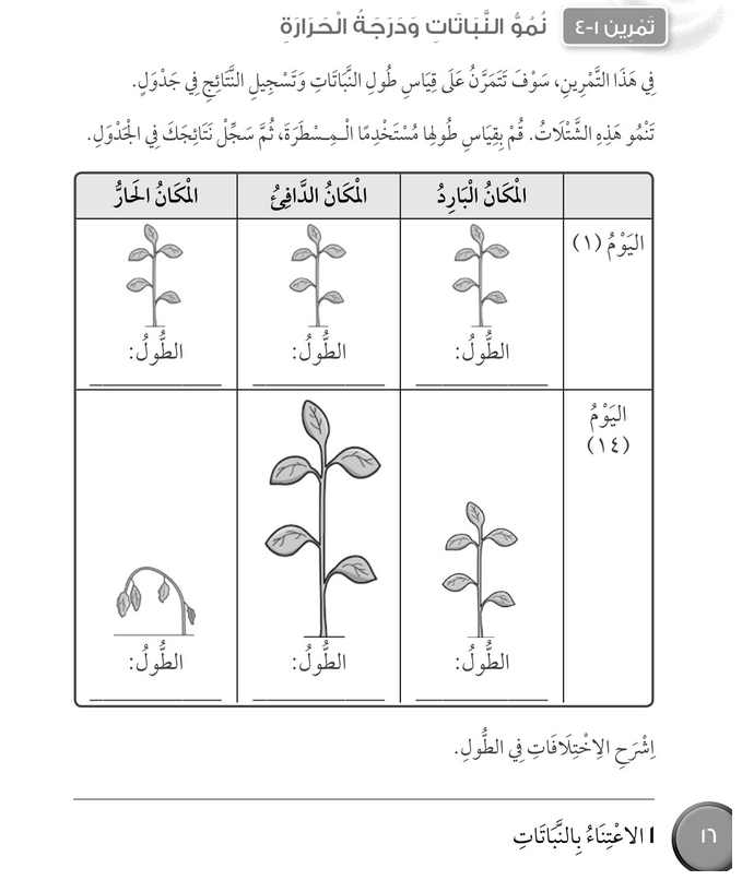 حل تمرين 1-4 نمو النباتات ودرجة الحرارة – علوم صف ثالث فصل أول (كتاب النشاط)