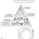حل تمرين 2-2 وجبة صحية – علوم صف ثالث فصل أول (كتاب النشاط)
