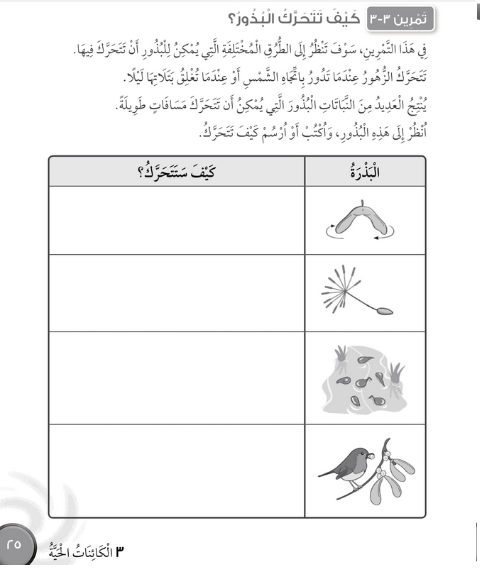حل تمرين 3-3 كيف تتحرك البذور – علوم صف ثالث فصل أول (كتاب النشاط)
