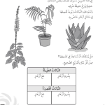حل تمرين 3-5 تصنيف النباتات – علوم صف ثالث فصل أول (كتاب النشاط)