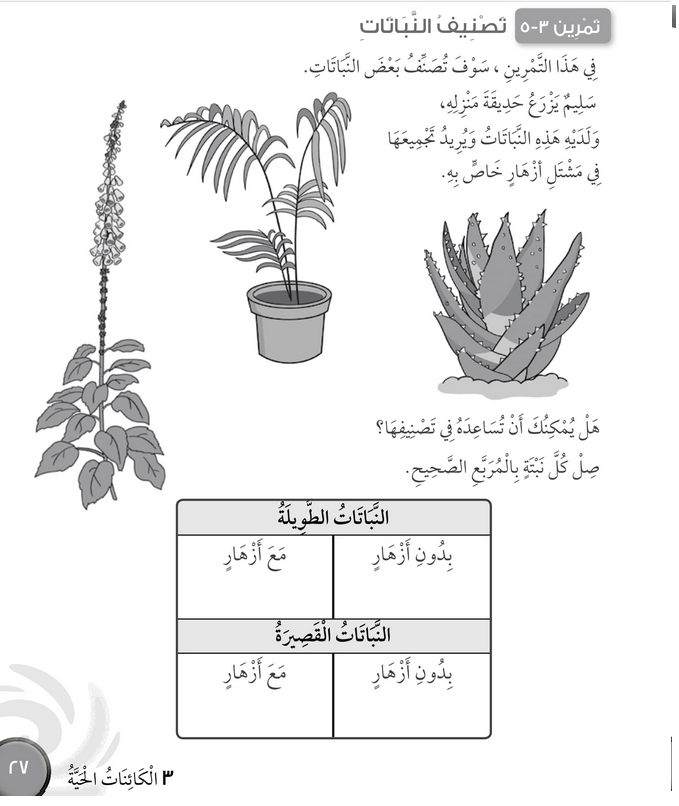 حل تمرين 3-5 تصنيف النباتات – علوم صف ثالث فصل أول (كتاب النشاط)