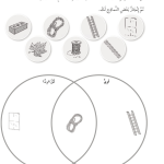 حل تمرين 5-2 تصنيف المواد – علوم صف ثالث فصل ثاني كتاب النشاط – 2026