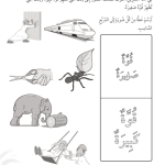 حل تمرين 6-3 قوة كبيرة أم قوة صغيرة؟ – علوم ثالث فصل ثاني كتاب النشاط – 2026