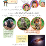 حل درس البصــــــر – علوم صف ثالث فصل ثاني كتاب الطالب – 2026