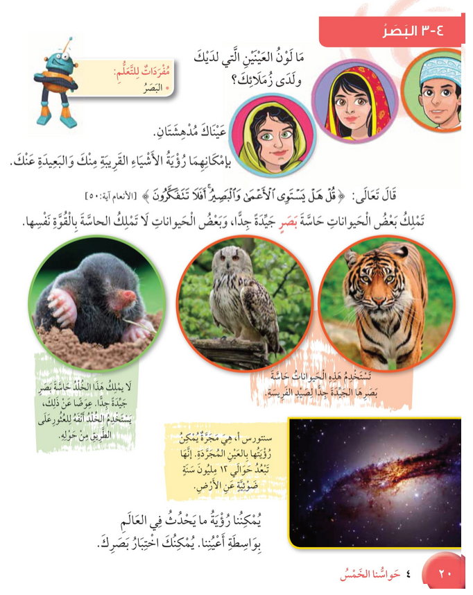 حل درس البصــــــر – علوم صف ثالث فصل ثاني كتاب الطالب – 2026