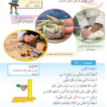 حل درس تغيير الشكـــــل – علوم صف ثالث فصل ثاني كتاب الطالب – 2026