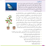 حل درس الوقت والنمو – رياضيات صف ثالث فصل أول – كتاب الطالب