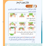 حل أسئلة الدرس (1) عمار يجوب البحار – أحب لغتي صف ثاني فصل أول – 2026