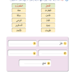 حل درس : النمط اللغوي – مراجعة – أحب لغتي صف رابع فصل ثاني – 2026