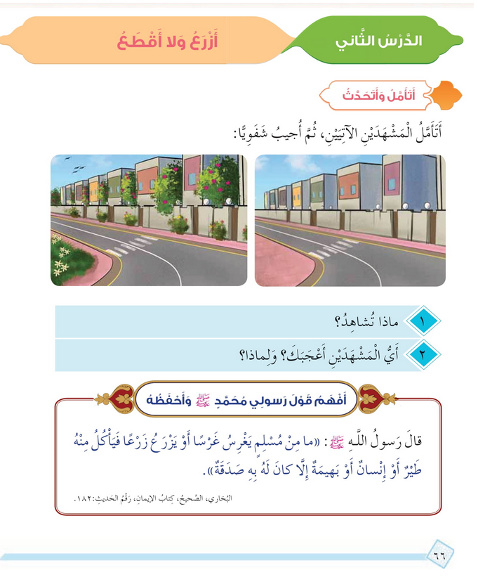 حل أسئلة الدرس (2) أزرع ولا أقطع – ديني حياتي صف رابع فصل ثاني – 2026