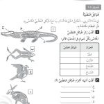 حل تمرين 1-1 الهياكل العظمية – علوم صف رابع فصل أول – كتاب النشاط – 2026
