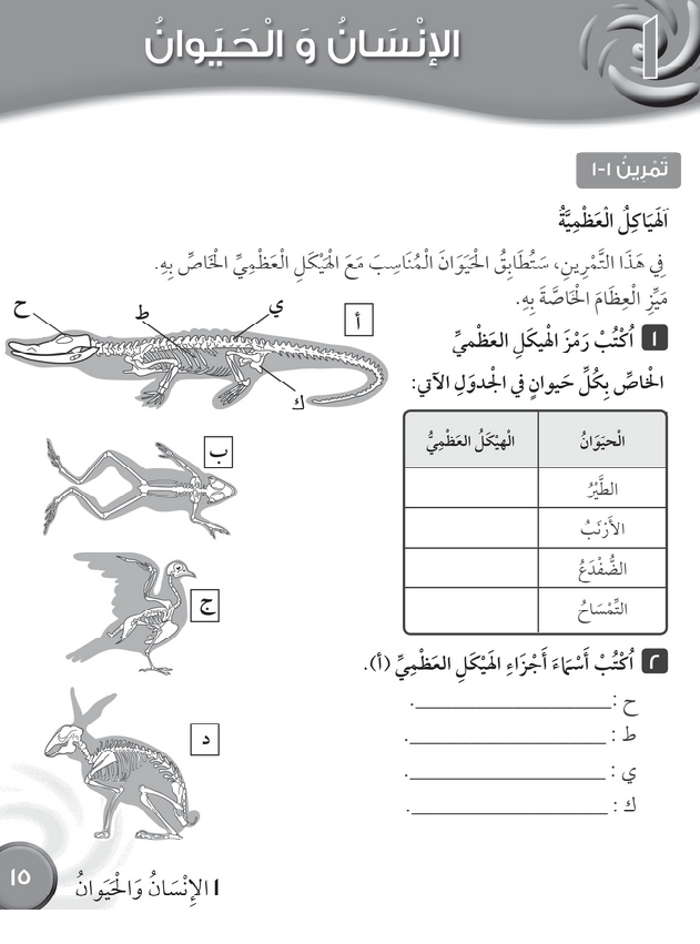 حل تمرين 1-1 الهياكل العظمية – علوم صف رابع فصل أول – كتاب النشاط – 2026