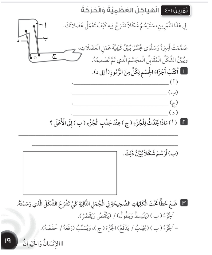 حل تمرين 1-4 الهياكل العظمية والحركة – علوم رابع فصل أول – كتاب النشاط – 2026