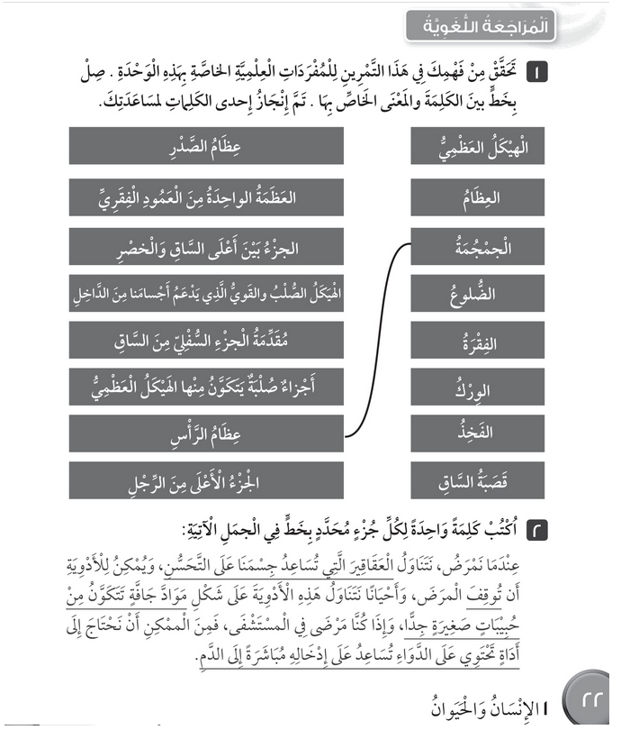 حل المراجعة اللغوية للوحدة (1) الإنسان والحيوان – علوم رابع فصل أول – كتاب النشاط