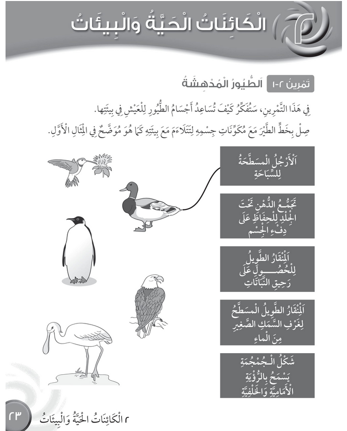 حل تمرين 2-1 الطيور المدهشة – علوم صف رابع فصل أول – كتاب النشاط – 2026