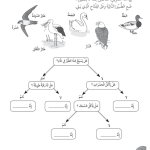 حل تمرين 2-4 المفاتيح التعريفية – علوم رابع فصل أول – كتاب النشاط – 2026