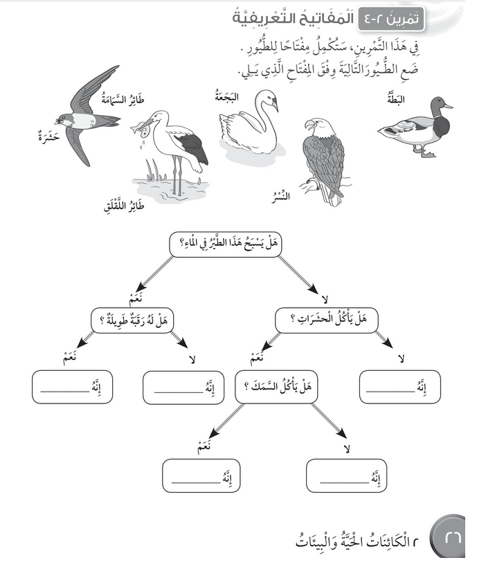 حل تمرين 2-4 المفاتيح التعريفية – علوم رابع فصل أول – كتاب النشاط – 2026